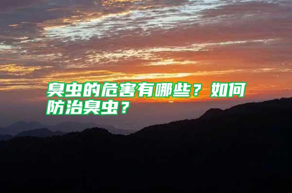 臭蟲的危害有哪些？如何防治臭蟲？