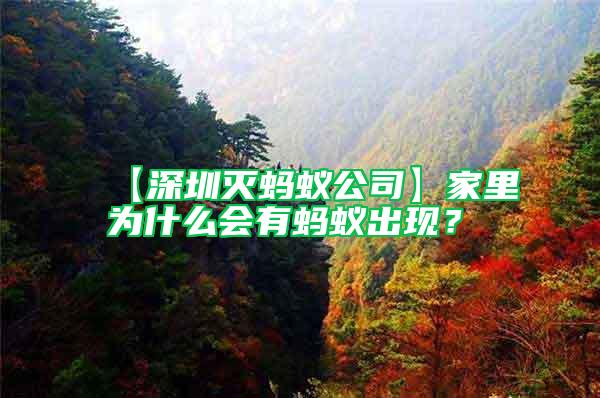 【深圳滅螞蟻公司】家里為什么會有螞蟻出現？