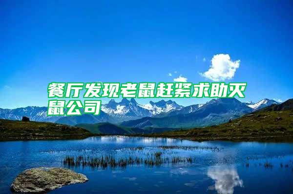 餐廳發現老鼠趕緊求助滅鼠公司