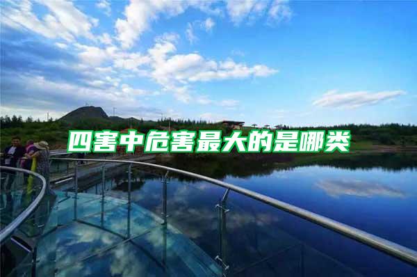 四害中危害最大的是哪類