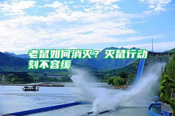 老鼠如何消滅？滅鼠行動刻不容緩