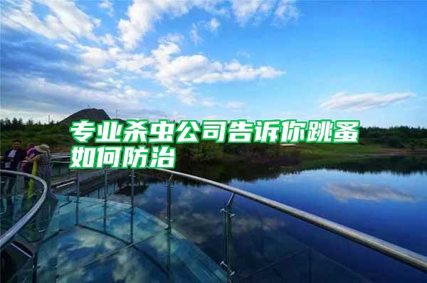 專業殺蟲公司告訴你跳蚤如何防治