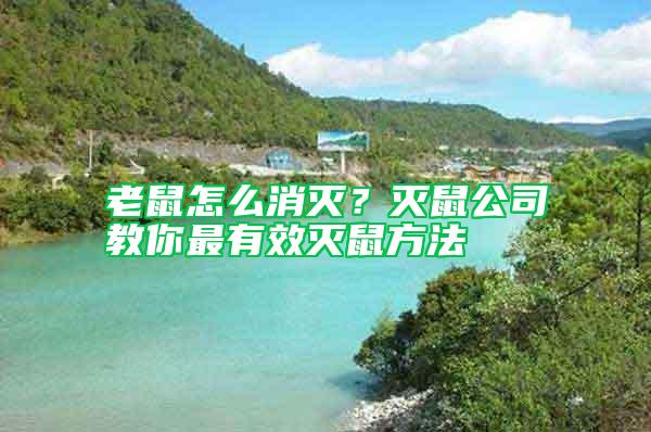 老鼠怎么消滅？滅鼠公司教你最有效滅鼠方法