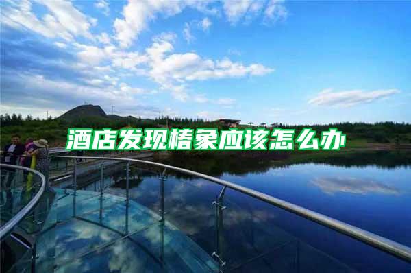 酒店發(fā)現椿象應該怎么辦