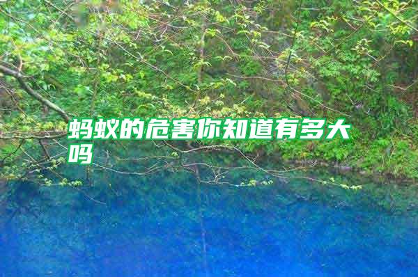螞蟻的危害你知道有多大嗎