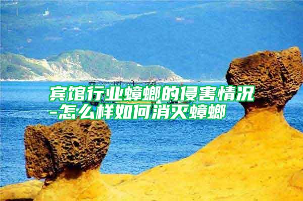 賓館行業蟑螂的侵害情況-怎么樣如何消滅蟑螂