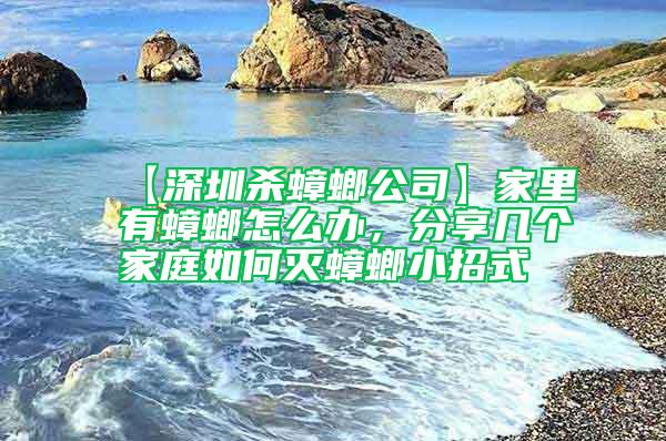 【深圳殺蟑螂公司】家里有蟑螂怎么辦，分享幾個家庭如何滅蟑螂小招式