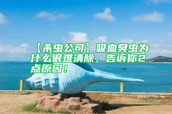 【殺蟲公司】吸血臭蟲為什么很難清除，告訴你2點原因！