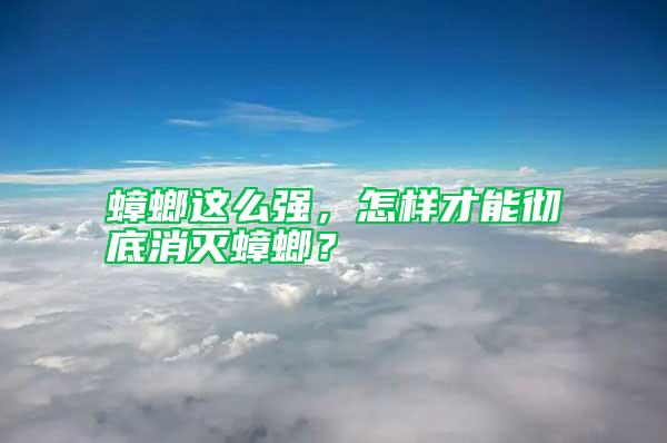 蟑螂這么強，怎樣才能徹底消滅蟑螂？