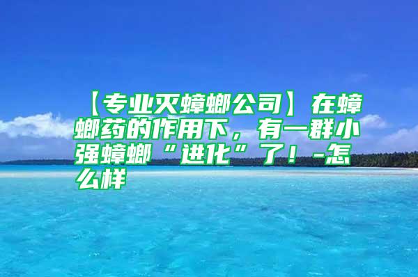 【專(zhuān)業(yè)滅蟑螂公司】在蟑螂藥的作用下，有一群小強(qiáng)蟑螂“進(jìn)化”了！-怎么樣