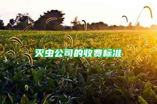 滅蟲公司的收費標準