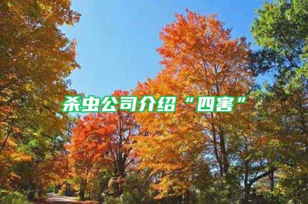 殺蟲公司介紹“四害”