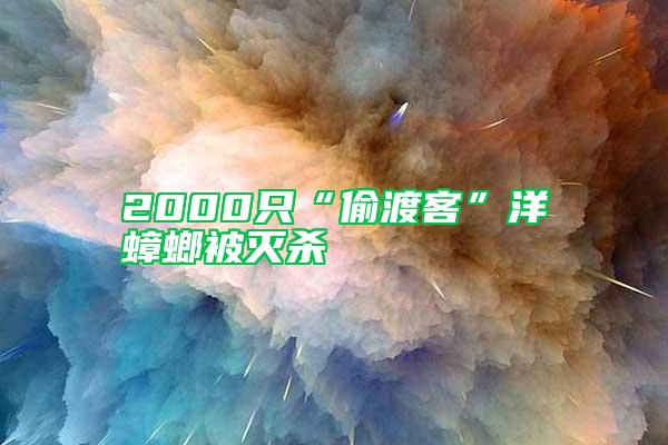 2000只“偷渡客”洋蟑螂被滅殺