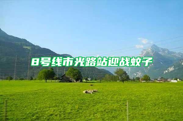 8號(hào)線(xiàn)市光路站迎戰(zhàn)蚊子