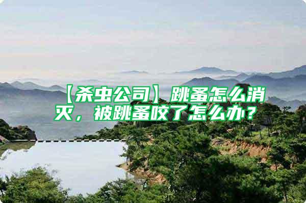 【殺蟲公司】跳蚤怎么消滅，被跳蚤咬了怎么辦？