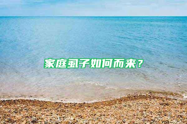 家庭虱子如何而來？