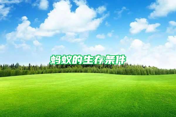 螞蟻的生存條件
