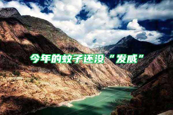 今年的蚊子還沒“發威”