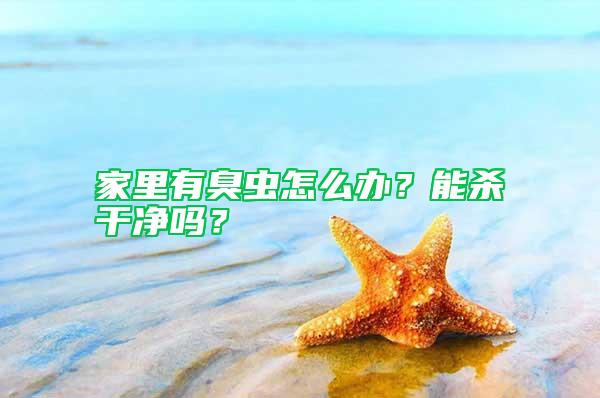 家里有臭蟲怎么辦？能殺干凈嗎？