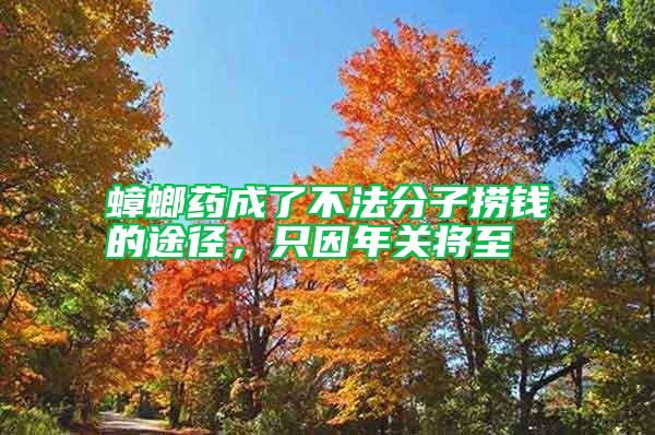 蟑螂藥成了不法分子撈錢的途徑，只因年關(guān)將至