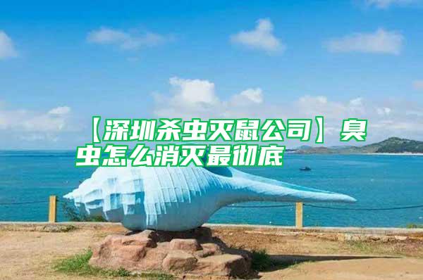 【深圳殺蟲滅鼠公司】臭蟲怎么消滅最徹底