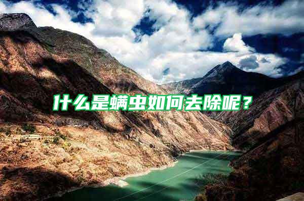 什么是螨蟲如何去除呢？