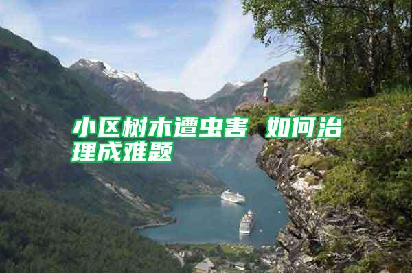 小區樹木遭蟲害 如何治理成難題