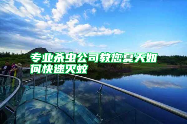 專業(yè)殺蟲(chóng)公司教您夏天如何快速滅蚊