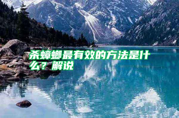 殺蟑螂最有效的方法是什么？解說