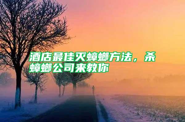 酒店最佳滅蟑螂方法，殺蟑螂公司來教你