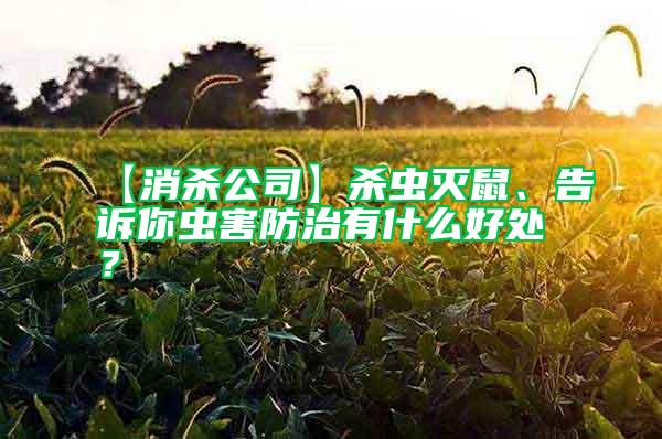 【消殺公司】殺蟲滅鼠、告訴你蟲害防治有什么好處？