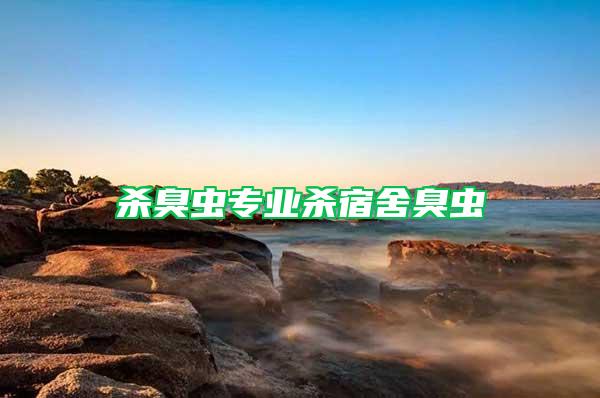 殺臭蟲專業殺宿舍臭蟲