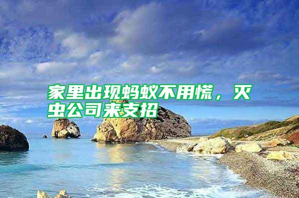 家里出現螞蟻不用慌，滅蟲公司來支招