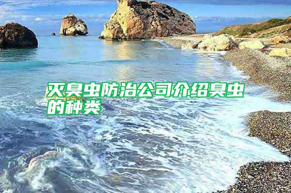 滅臭蟲防治公司介紹臭蟲的種類