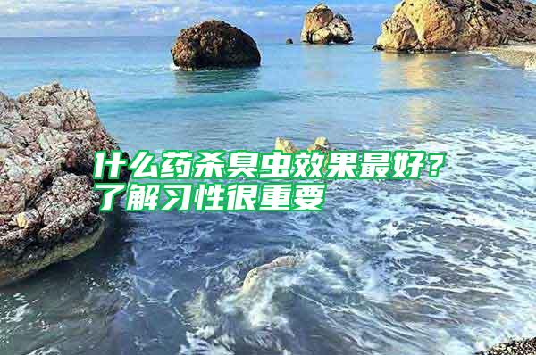 什么藥殺臭蟲效果最好？了解習性很重要
