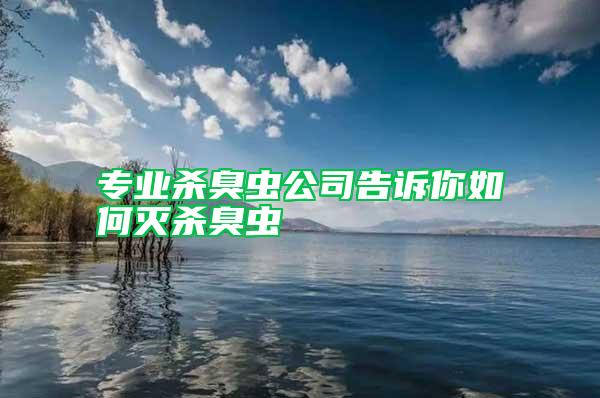 專業殺臭蟲公司告訴你如何滅殺臭蟲