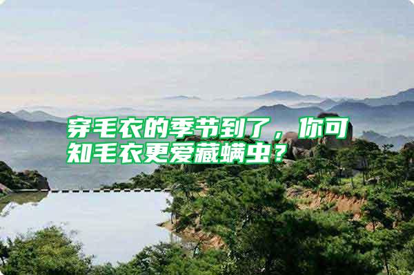 穿毛衣的季節(jié)到了，你可知毛衣更愛藏螨蟲？