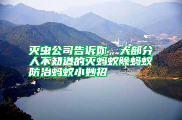 滅蟲公司告訴你，大部分人不知道的滅螞蟻除螞蟻防治螞蟻小妙招