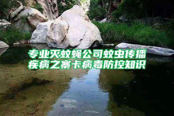 專業滅蚊蠅公司蚊蟲傳播疾病之寨卡病毒防控知識