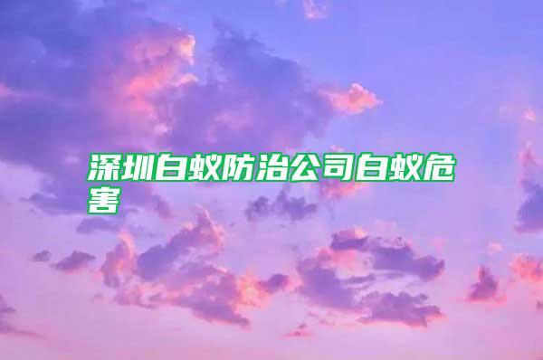 深圳白蟻防治公司白蟻危害