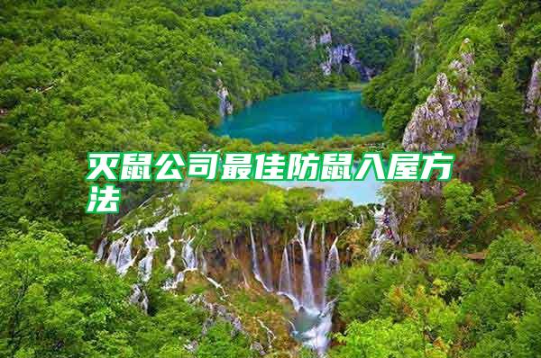 滅鼠公司最佳防鼠入屋方法