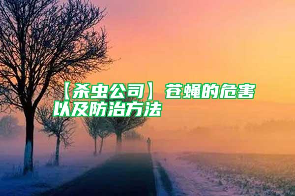 【殺蟲公司】蒼蠅的危害以及防治方法