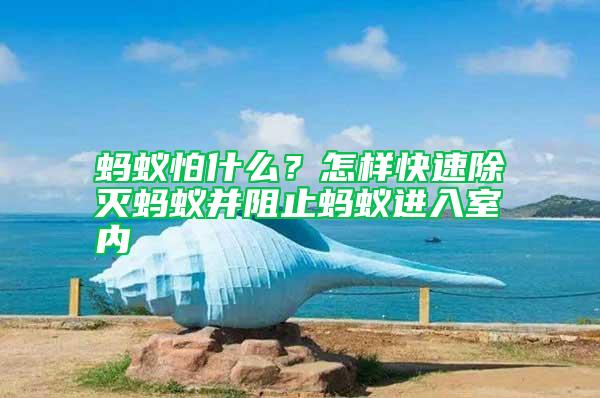 螞蟻怕什么？怎樣快速除滅螞蟻并阻止螞蟻進(jìn)入室內(nèi)