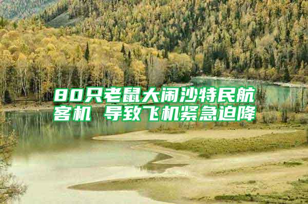 80只老鼠大鬧沙特民航客機 導致飛機緊急迫降