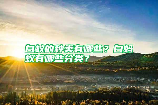 白蟻的種類(lèi)有哪些？白螞蟻有哪些分類(lèi)？