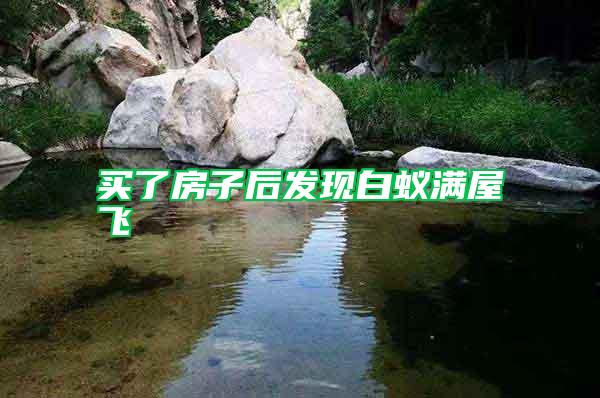 買了房子后發現白蟻滿屋飛