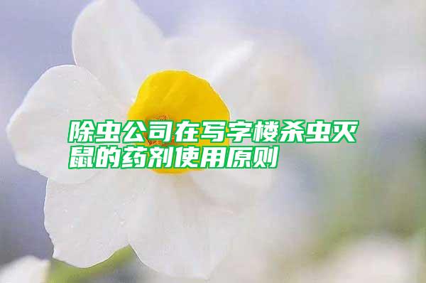 除蟲公司在寫字樓殺蟲滅鼠的藥劑使用原則