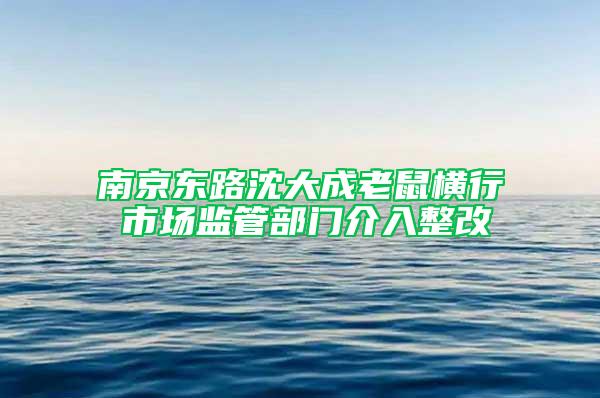 南京東路沈大成老鼠橫行 市場監管部門介入整改