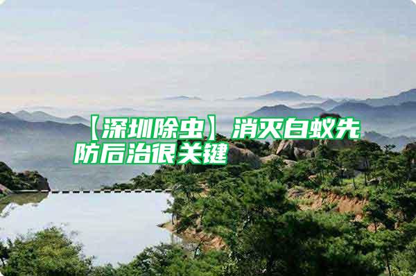 【深圳除蟲】消滅白蟻先防后治很關鍵