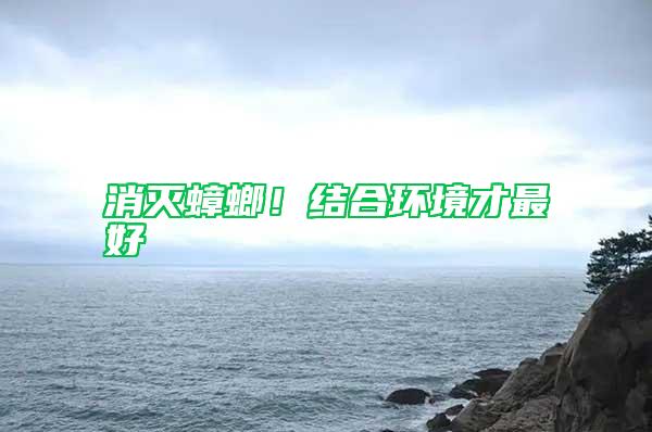 消滅蟑螂！結合環境才最好